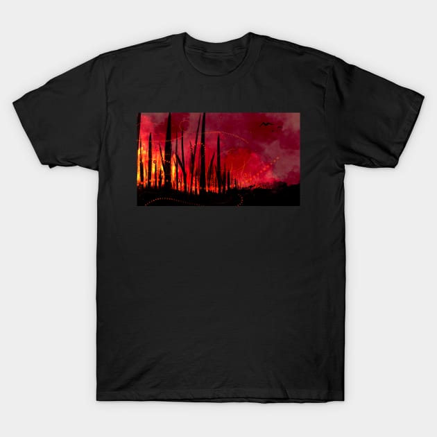 World on fire T-Shirt by Jkgaughan